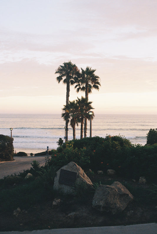 2026 - 19