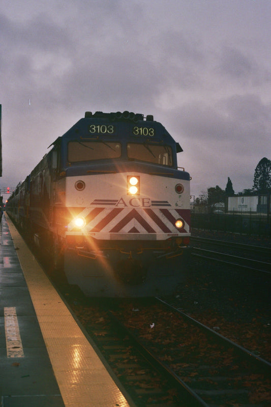 ACE 3103
